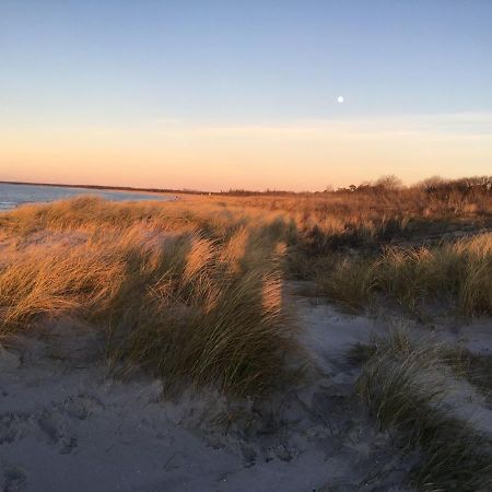 Fewo Sonnenblume Achtern Diek Zingst Exterior foto