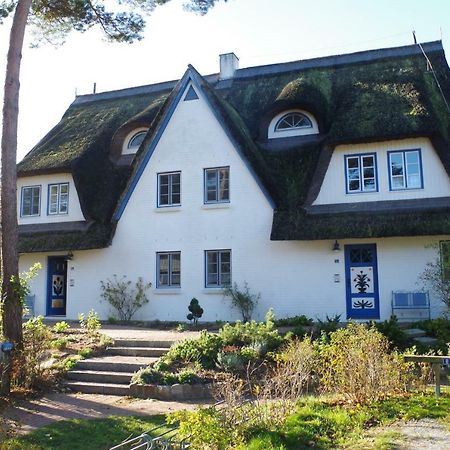 Fewo Sonnenblume Achtern Diek Zingst Exterior foto