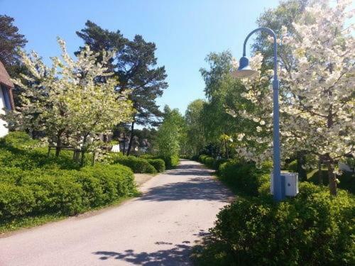 Fewo Sonnenblume Achtern Diek Zingst Exterior foto